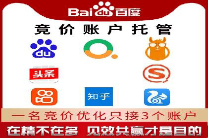 SEM外包服务应用案例分析